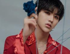 开云体育官网-防守的艺术，戈贝尔教科书式表现如何让尼克斯掀翻公牛