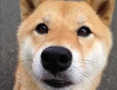 开云官网-非洲之光闪耀NBA季后赛，摩洛哥悍将压哨绝杀加纳群星