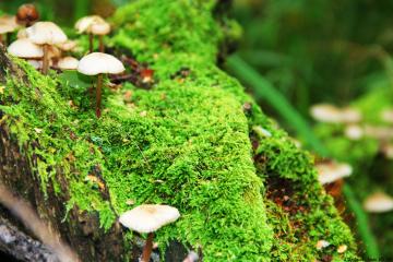 开云平台-英超争冠之夜，亚裔少年用一粒进球完成对傲慢与偏见的终极救赎
