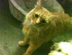 开云体育APP下载-独步天下！巴尔韦德爆发引领乌拉圭打穿奥地利钢铁防线