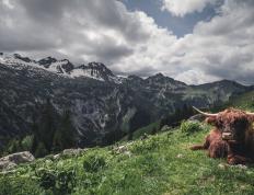 开云体育登录-意甲焦点战，当圣西罗硝烟散去，毕尔巴鄂的终结哲学为何更胜一筹？