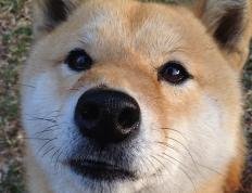 开云体育登录-逆转！曼城打穿巴萨，罗德里戈关键时刻天神下凡终结梦魇