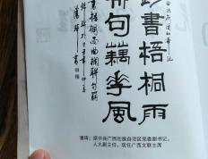 开云体育入口-包含智利中卫状态神勇，拉脱维亚欧洲预选赛成绩斐然的词条