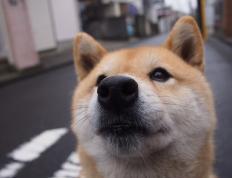 开云体育APP下载-孔德终场三分绝杀拜仁？跨次元转播事故与体育的终极想象