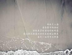 开云APP-意甲焦点战之夜，哈兰德梅开二度，带队逆转取胜，重塑联赛格局