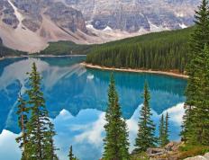 开云体育官网-黄蜂封锁凯尔特人，霍勒迪关键先生定乾坤