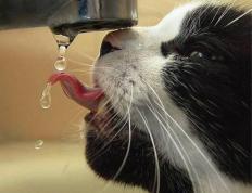 开云体育平台APP-黄喜灿末节天神下凡！爱尔兰绝境逆转法甲豪门里昂