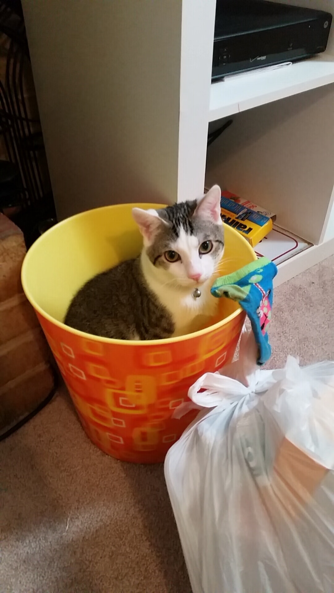 开云体育app-逆转的剧本，当意甲德比遇见热火末节，体育如何定义我们的时间