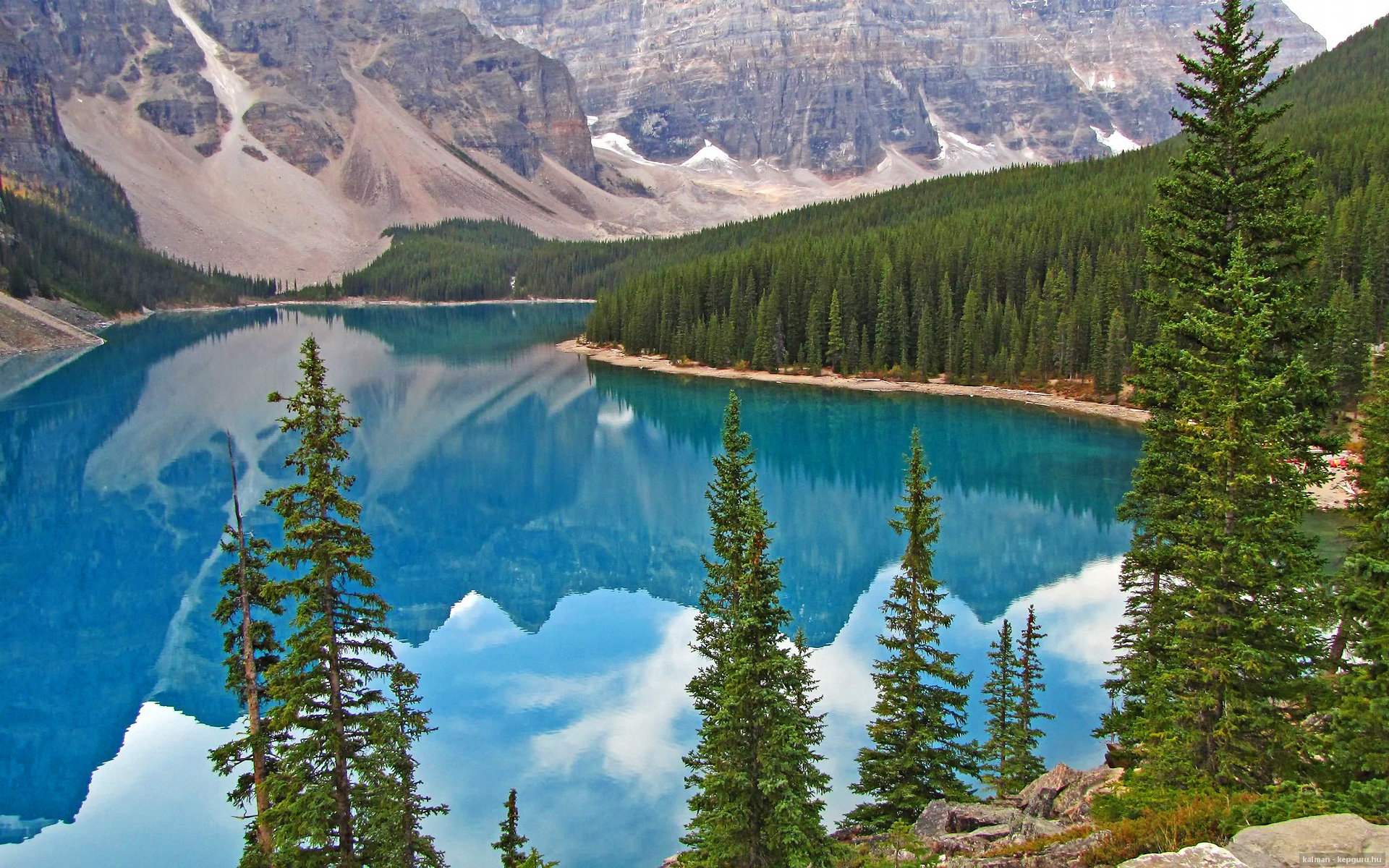 开云体育官网-黄蜂封锁凯尔特人，霍勒迪关键先生定乾坤