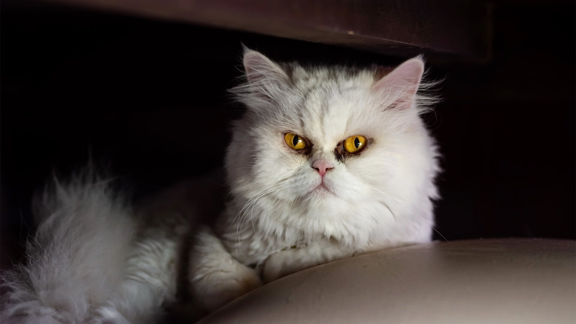 开云平台-精密齿轮转动东方铁流,杰伦·格林如何驱动广东队攻克凯尔特人堡垒?