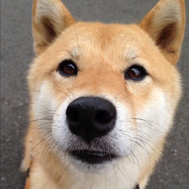 开云官网-非洲之光闪耀NBA季后赛，摩洛哥悍将压哨绝杀加纳群星