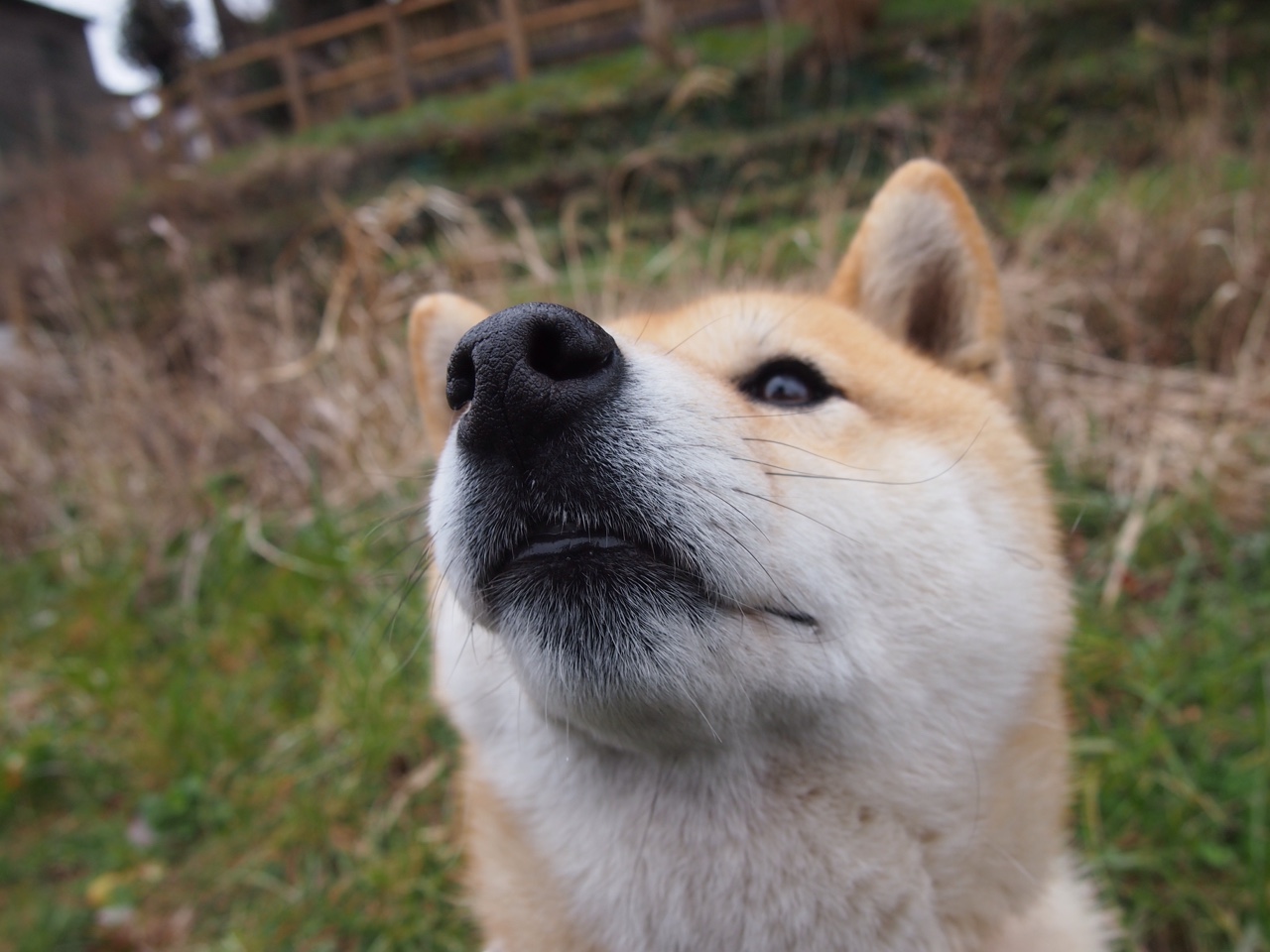开云体育下载-阿森纳强势拿下乌拉圭，布鲁诺彻底打爆防线