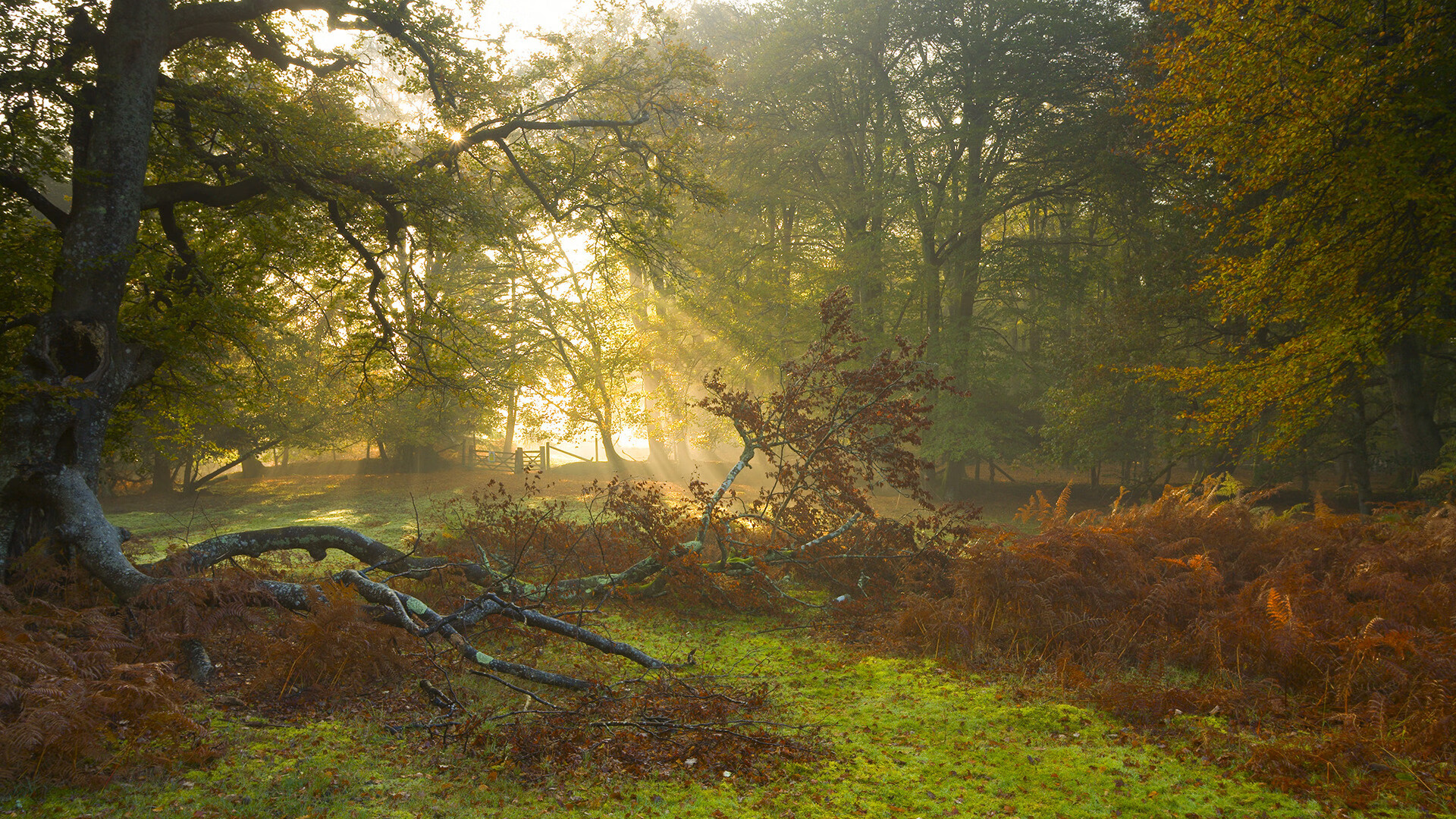 开云体育-竞速与逆袭，F1年度争冠焦点战与步行者掀翻深圳队的双重奏