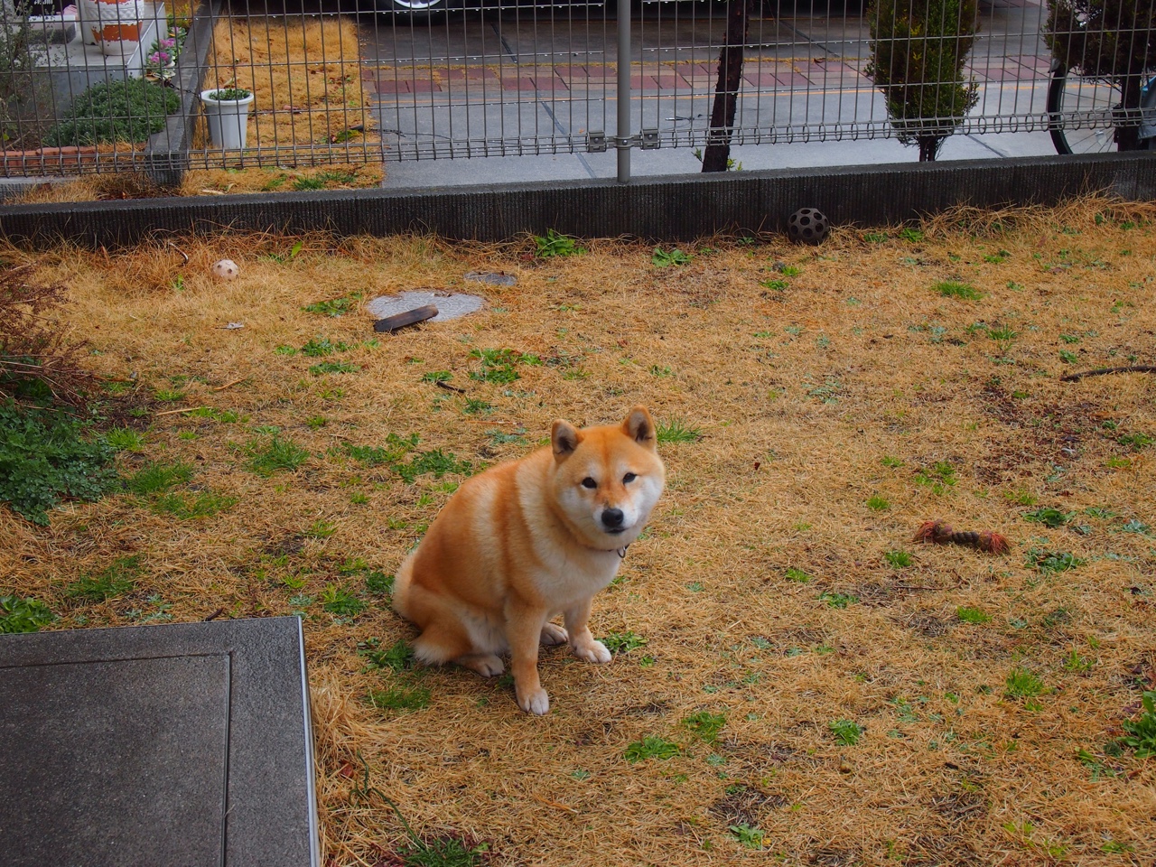 开云体育登录-蓝白幕后的幽灵,当坎特在阿根廷对阵韩国的战役中完全展现