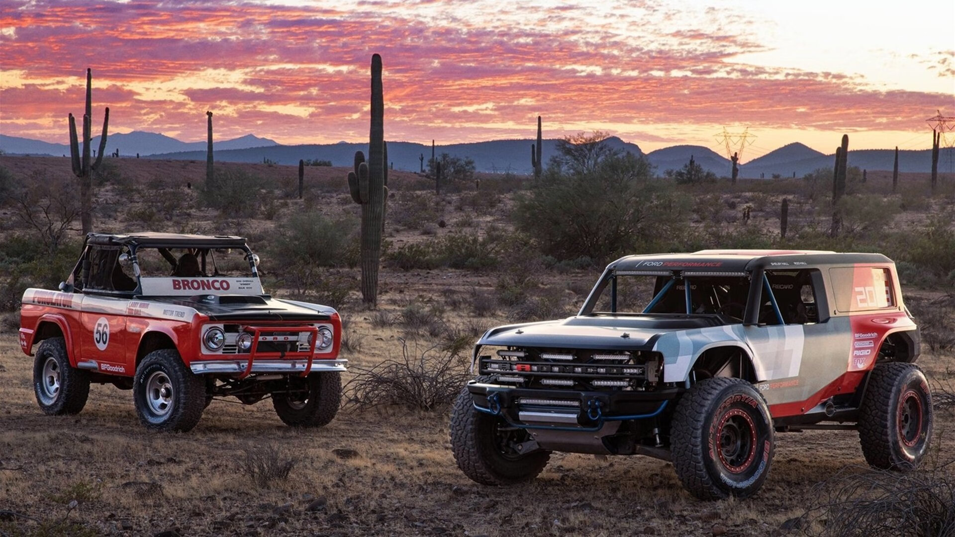 开云体育登录-蓝白幕后的幽灵,当坎特在阿根廷对阵韩国的战役中完全展现