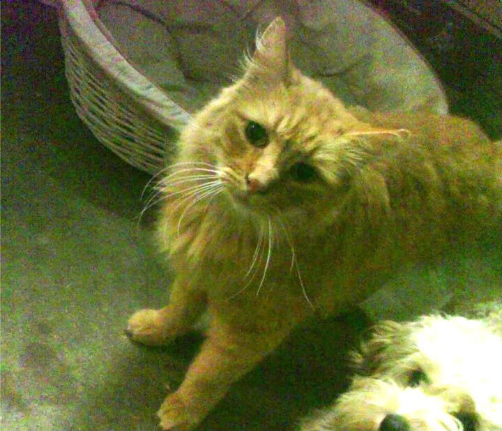 开云体育APP下载-独步天下!巴尔韦德爆发引领乌拉圭打穿奥地利钢铁防线