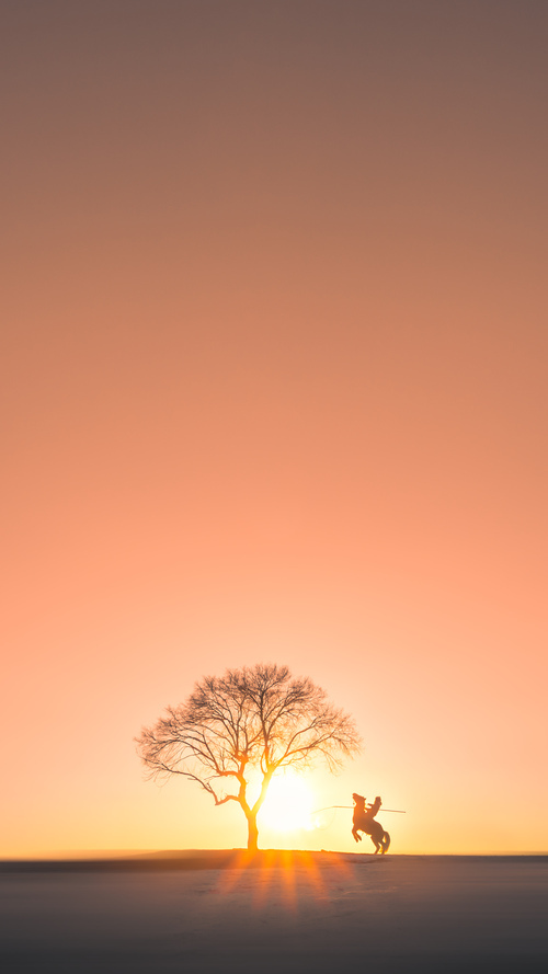 开云体育-防守转进攻!戈贝尔核心力量助公牛末节翻盘黄蜂