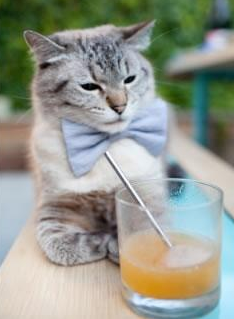 开云体育入口-抢七烽火映天王！塔图姆一剑封喉，历史之夜铸就传奇丰碑