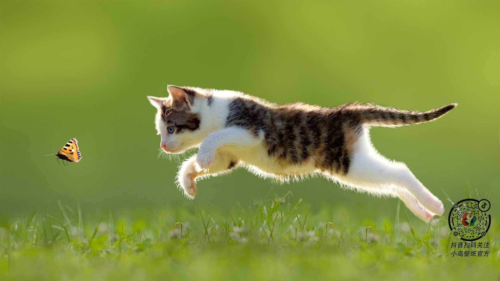 开云体育APP下载-奥斯梅恩星光引爆欧冠夜,巴黎力克利物浦占得争冠先机