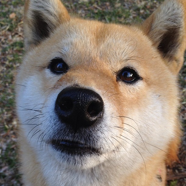 开云体育登录-逆转！曼城打穿巴萨，罗德里戈关键时刻天神下凡终结梦魇